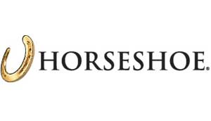 wow mini golf rental image