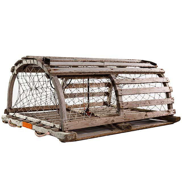 Putt Putt Obstacles image